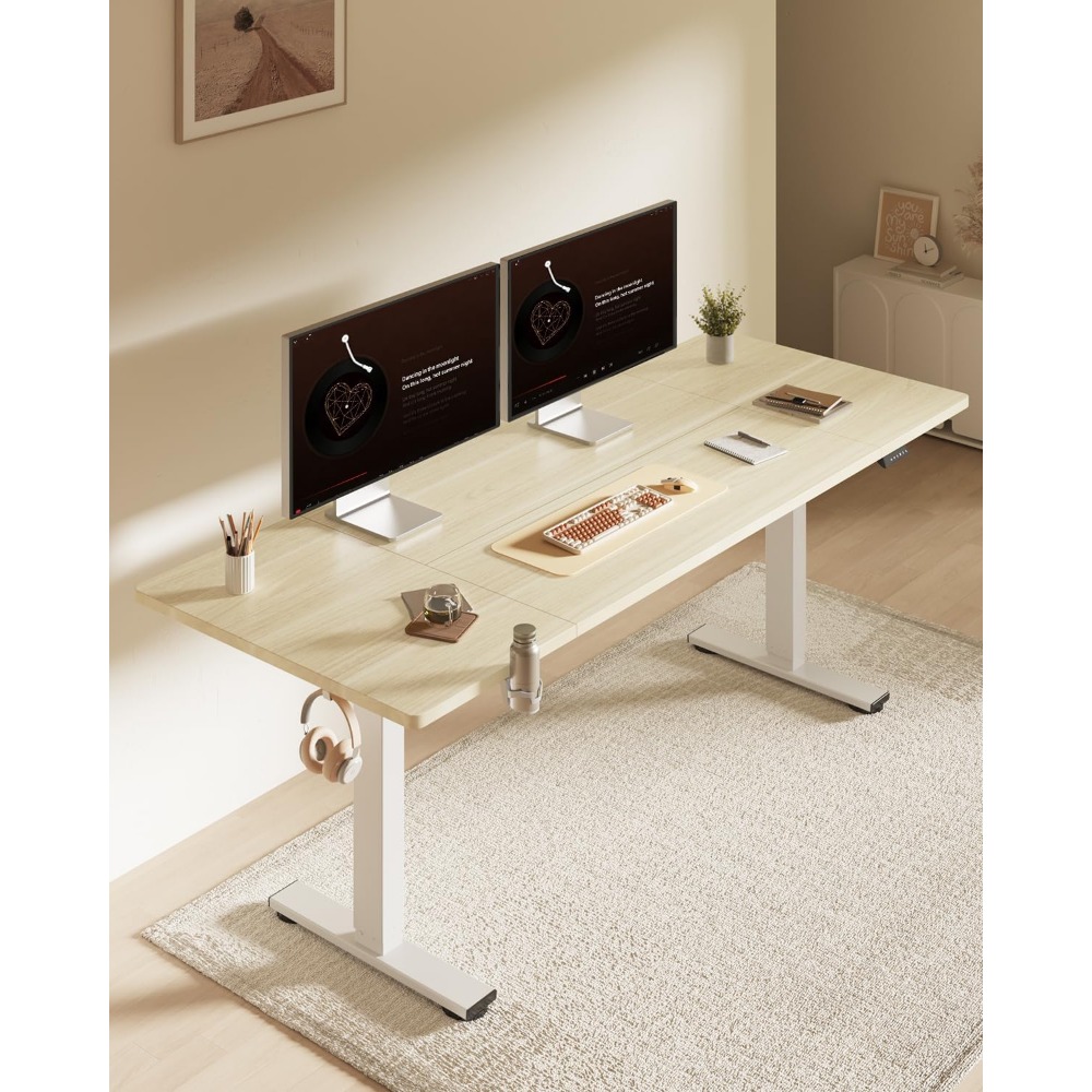 FLEXISPOT 63x32 Inch Electric  - Desk Setup Workspace recension och pris